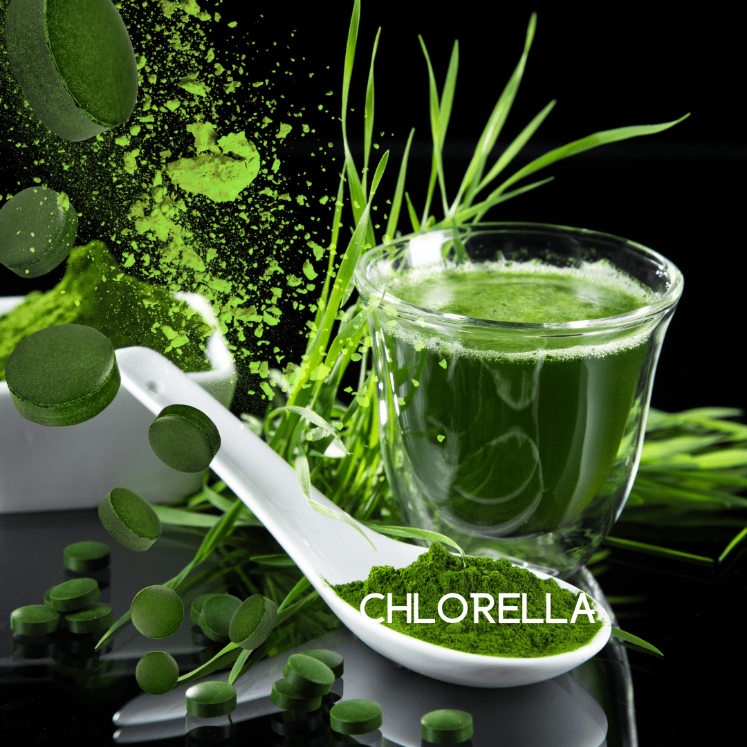 My Balance Nutrisentials – Colon Cleanse - GreenEnvy
