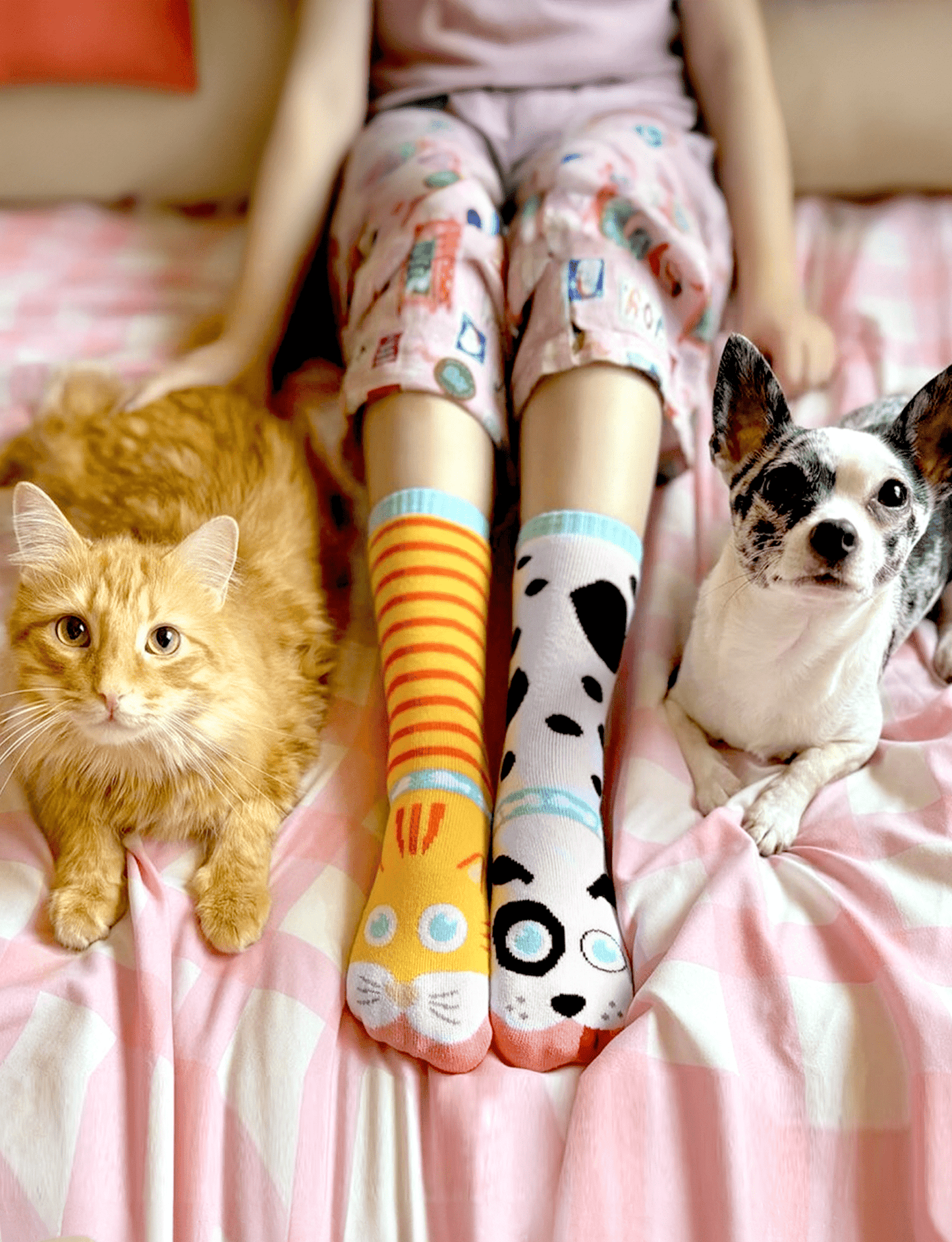 ADULT CAT & DOG SOCKS - GreenEnvy